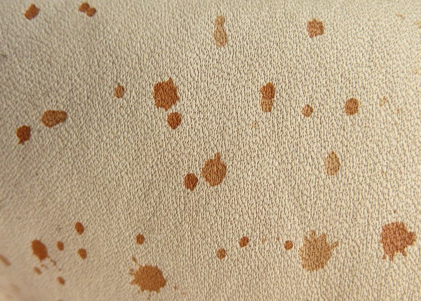 Taches pénétrées dans un cuir aniline.