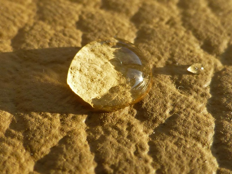 Goutte d’eau sur cuir aniline protégé.